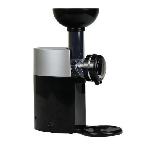 BigSwirlio Frozen Fruit Machine ice cream